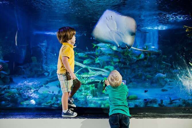 SEA LIFE Orlando Aquarium - Admission and Ticketing Options