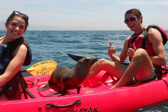Sea Lion Kayak Tour - Santa Barbara Harbor - Kayaking Through Santa Barbaras Waterfront