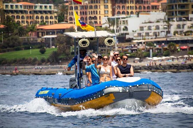 SEA SAFARI, Dolphins, Whales, Snorkeling, Snack and Drink, 2 H Speedboat - Included in the Tour