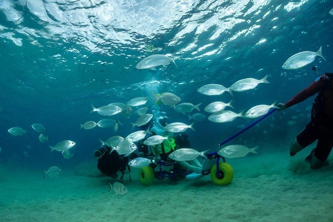 Sea Trek and Diving for Handicaped People - Inclusions and Equipment