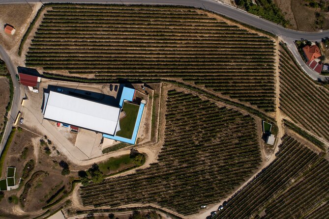 Selection Tasting Quinta De Santa Cristina Vinho Verde - Tasting Experience Overview