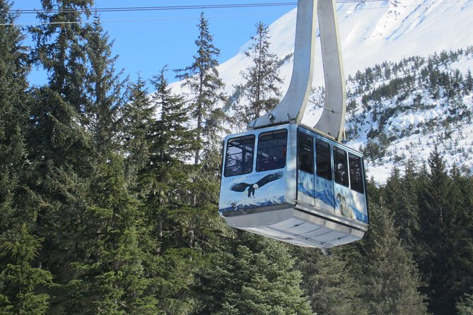 Self-Guided Alaska Wildlife Center and Turnagain Arm Tour W/Alyeska Tram - Tour Details