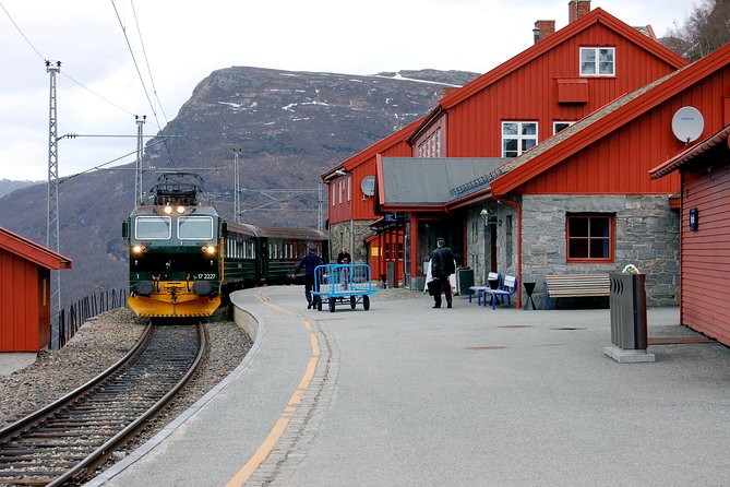 Self-Guided Bergen to Oslo Daytrip With Flamsbana & Fjordcruise - Tour Logistics