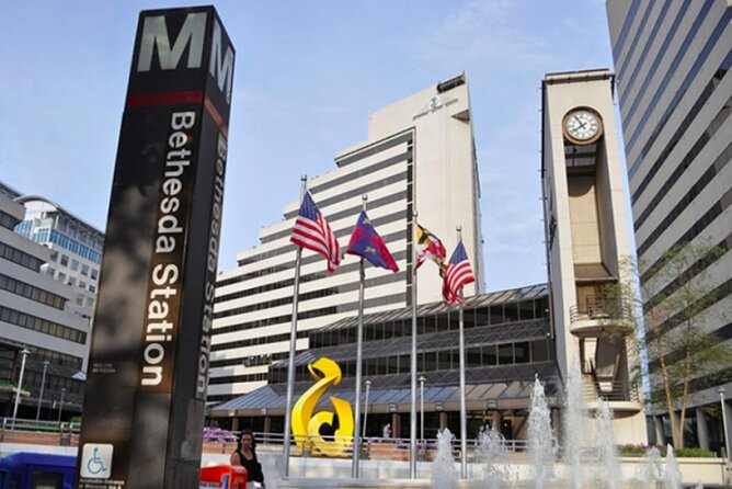 Self-Guided Scavenger Hunt: The Fine (Art) Life in Bethesda - What to Expect