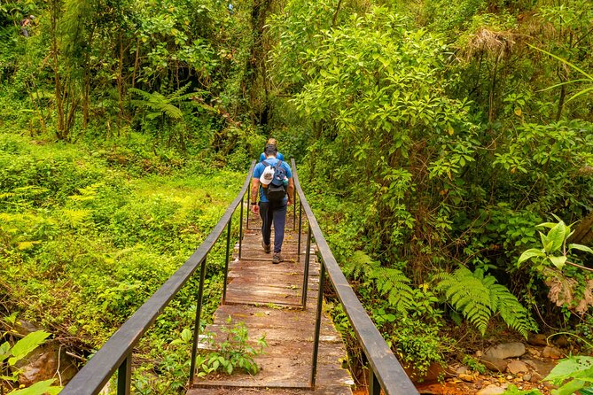 Self-Guided Walk in the Iral Cloud Forest Trails - Itinerary and Schedule