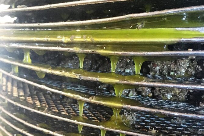 Semi- Private Olive Grove and Oilve Mill With Olive Oil Tastings - Inclusions and Exclusions