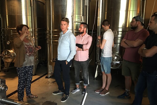 Semi Private Organic Wine & Food Tasting Tour (From Nice) - Tour Inclusions