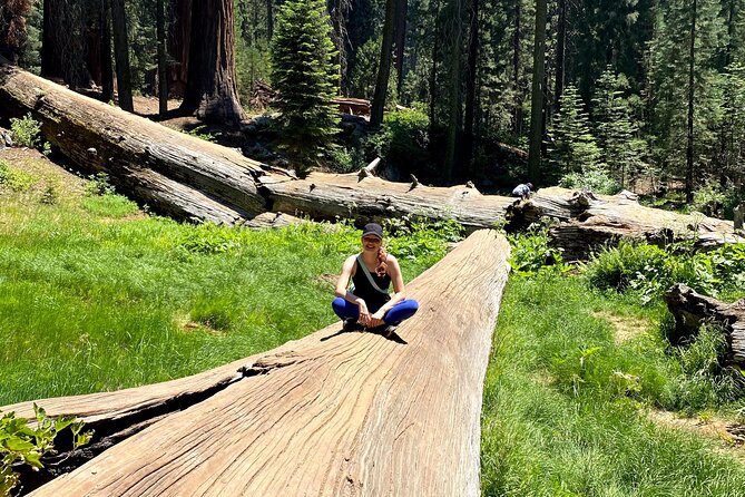 Semi Private Tour to Sequoia National Park With Lunch - Pickup Information