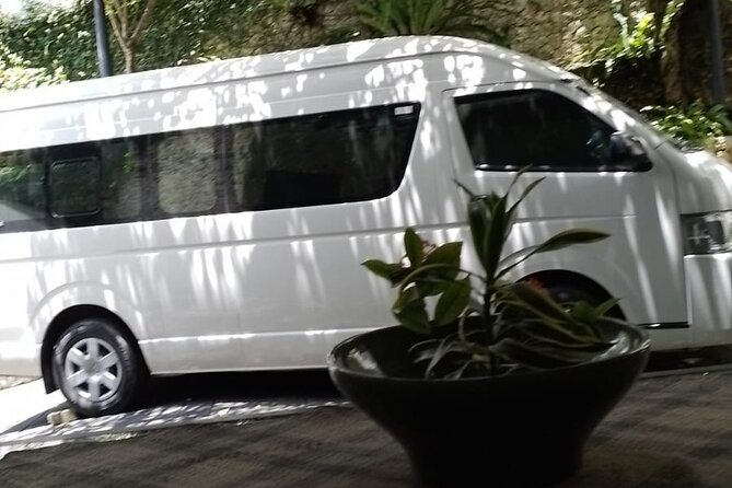 Seminyak to Ubud Private Hotel Transfer - Pickup and Drop-off Details