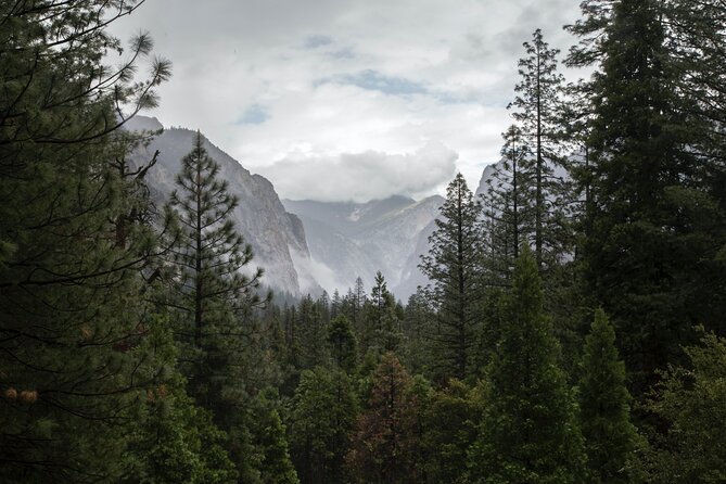 Sequoia Full Day Private Tour and Hike - Pickup and Meeting Details