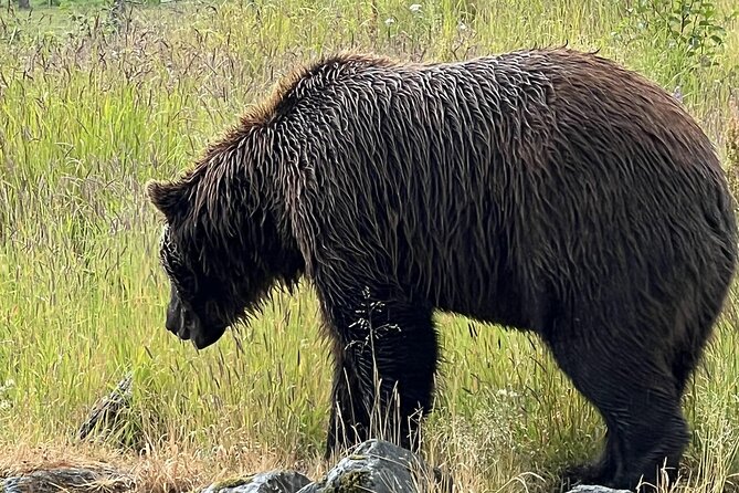 Seward to Anchorage Land Transfer Tour - Inclusions and Pickup