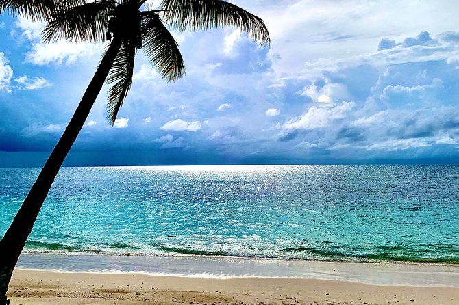Seychelles Island Tour (Private 4 Hours or 8 Hours) - Itinerary Customization Options