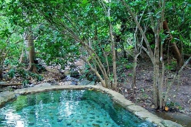 Shaded Hot Spring, Massage and Mex Grill in Puerto Vallarta - Diverse Activity Itinerary