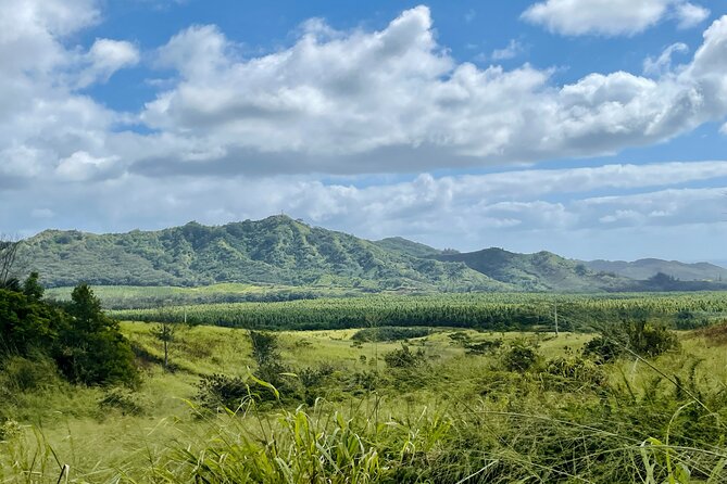 Shaka Zipline 5 Line Zipline Tour 60 - 260 Lbs. - Location and Pricing