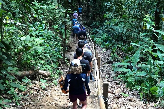 Shared 6 Hours Nauyaca Waterfall Adventure - Pickup and Transportation