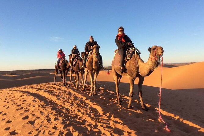 Shared Group 3 Days/2Nights: Fez to Marrakech Sahara Tour - Pick Up and Start Time