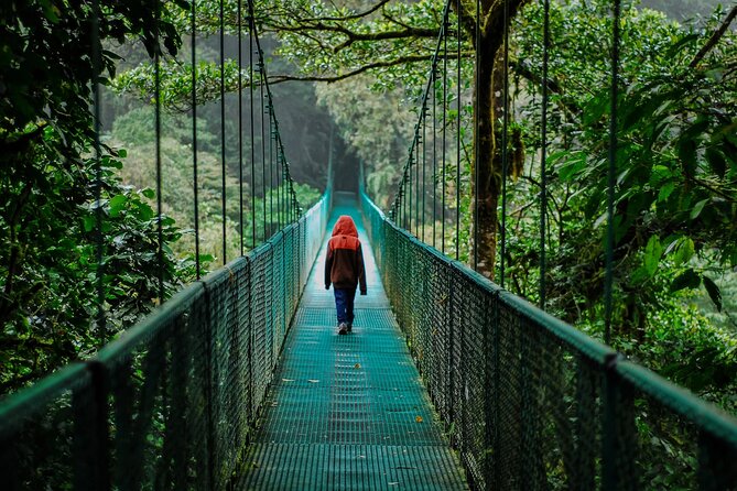 Shared Shuttle San Jose to Monteverde - Transportation Features