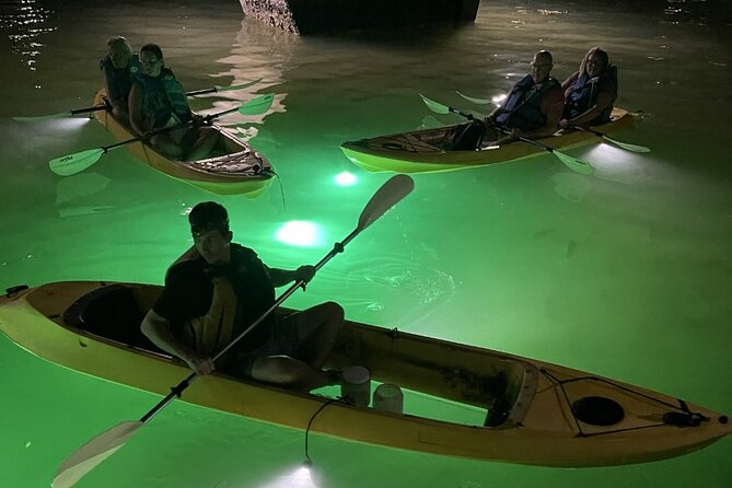 Sharkeys Glass Bottom Fish Feeding LED Night Tour in Clearwater - Fish Feeding and Wildlife Sightings