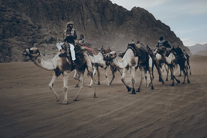 Sharm: Quad Bike or Car Buggy, Camel Ride & Optional VIP Bedouin Dinner & Show - Meeting and Pickup Details
