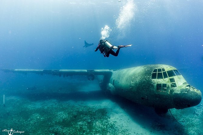 Shore Certified Diving - Two Dives - Meeting and Pickup