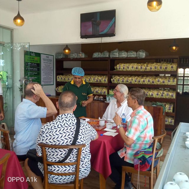 Shore Excursion From Colombo Port Ceylon Tea Experience. - Tour Overview