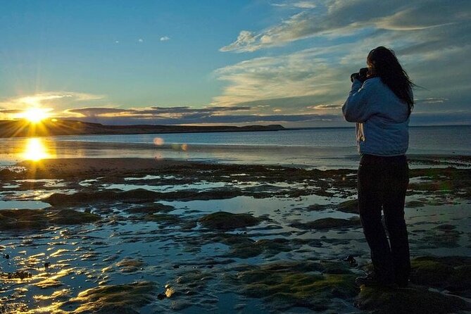 Shore Excursion Peninsula Valdes/Punta Tombo - Minibus Madryn - Discovering Punta Tombo