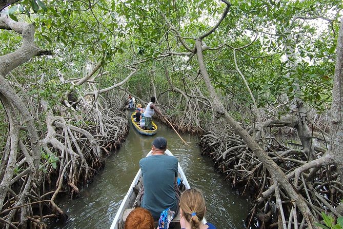 Shore Mangrove Tour + Lunch + Horse Riding + Fishing Classes - Pickup and Accessibility Details