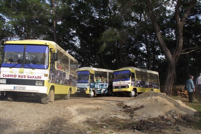 Side Cabrio Bus Tour With Green Lake And Manavgat Waterfall - Key Features of the Experience