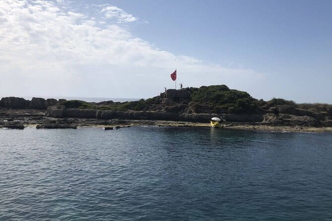Side: Dolphin Island Boat Tour With Foam Party and Lunch - Barbecue Lunch on Dolphin Island