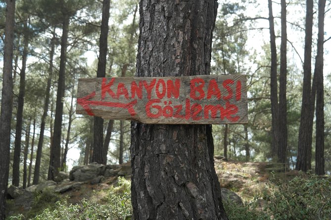 Side: Excursion to Tazi Canyon & Selge Ancient City - Itinerary Details