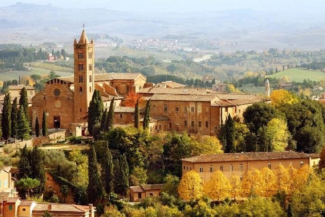 Siena, San Gimignano and Chianti Wine Small Group From Viareggio - Exploring Historic Siena