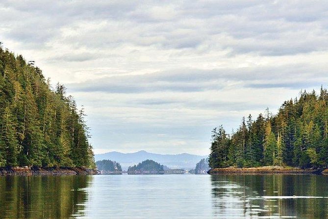Sitka Boat and Sea Kayaking Adventure - Key Highlights of the Tour