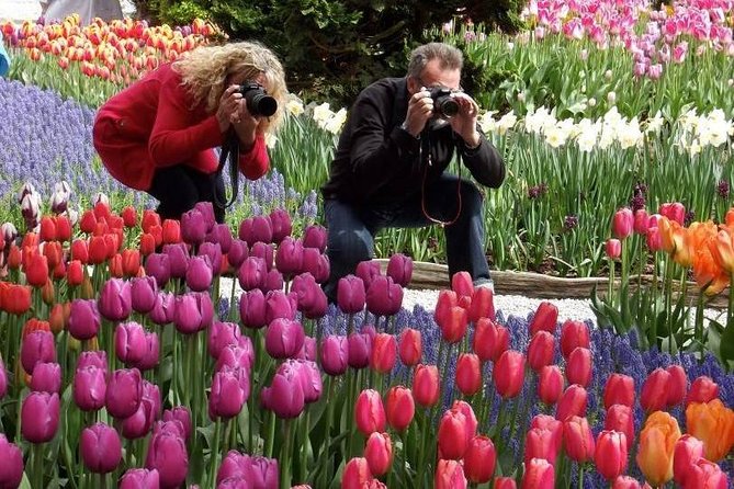 Skagit Valley Tulip Festival Day Trip From Seattle - Meeting Point