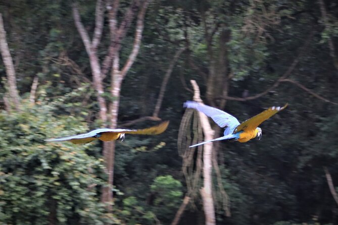 Skip the Line: Birds of Eden Admission Ticket - Visitor Experience Overview