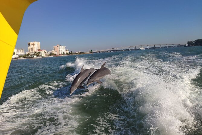Small Group Clearwater Beach&Dolphin Watch Day Tour From Orlando - Highlights of the Day Tour