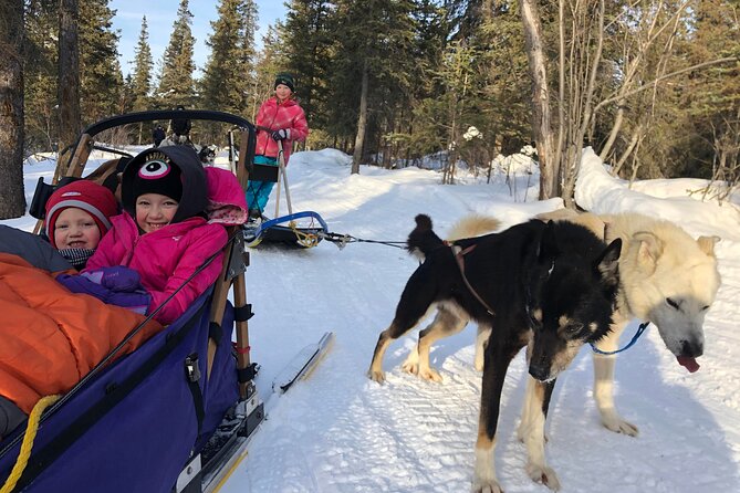 Small-Group Dog Sledding Experience in Sterling - Tour Details and Pricing