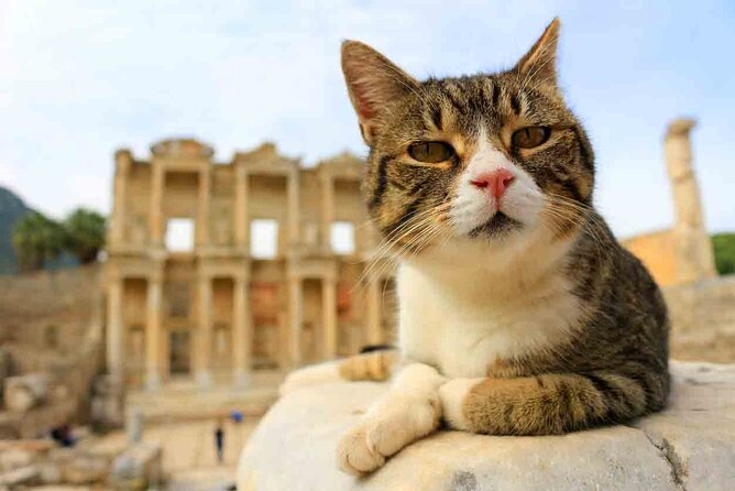 Small Group Ephesus Tour From Izmir - Entrance Fees and Ticketing