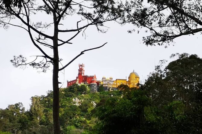 Small Group FULL DAY PRIVATE TOUR Sintra + Cascais+Roca Cape - Transportation and Accessibility