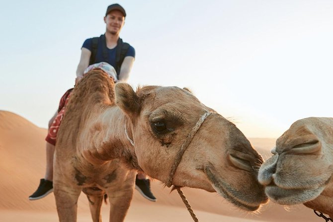 Small Group Guided Red Dune Safari in Quad Bikes With BBQ Dinner - Transportation Details