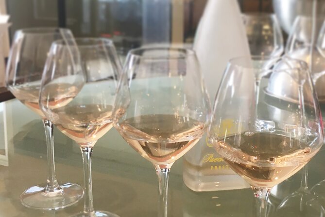 Small Group Half Day Camargue and Rosé Wine Tour From Montpellier - Meeting and Pickup