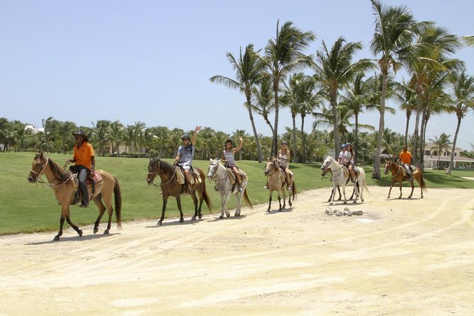 Small-Group Half-Day Horseback Riding Tour From Punta Cana - Meeting and Pickup