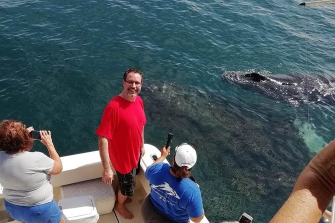 Small-Group Half-Day Whale-Watching Tour in Puerto Vallarta - Inclusions and Exclusions