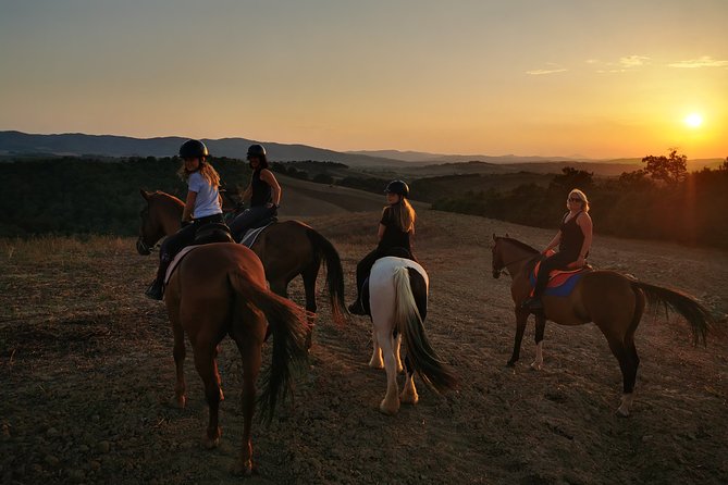 Small-Group Horseback Tour of Tuscany  - Siena - Highlights of the Experience