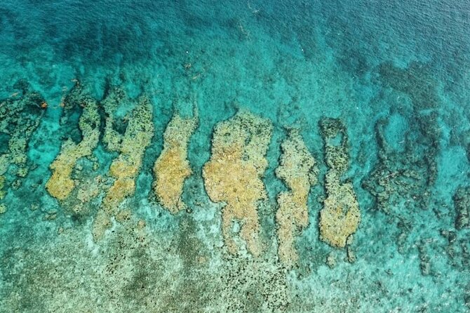 Small Group Key West Snorkel Adventure - Experience and Expectations