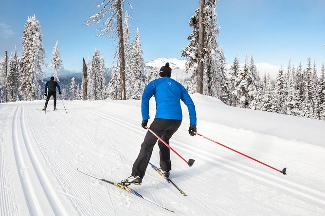 Small-Group Lapland Cross Country Ski - Whats Included in the Tour