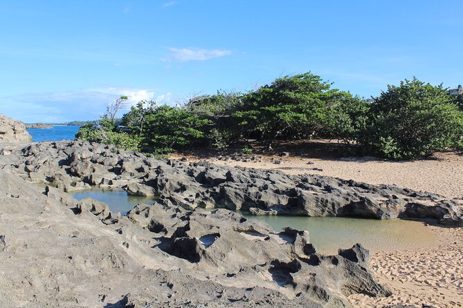 Small-Group North Coast Beach Hopping Adventure in Puerto Rico - Pickup Information
