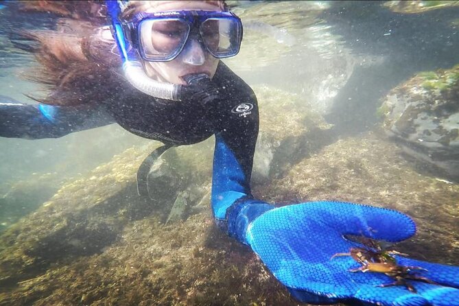 Snorkel Tour at Magic Island - Included in the Tour