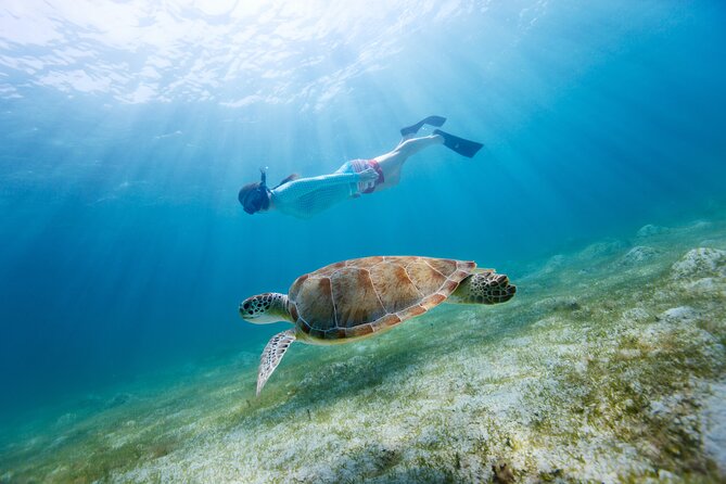 Snorkeling and Dolphin Watching Experience in Destin - Accessibility and Group Size