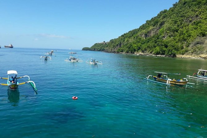 Snorkeling at Blue Lagoon for Walking Customers - Pricing and Payment Options