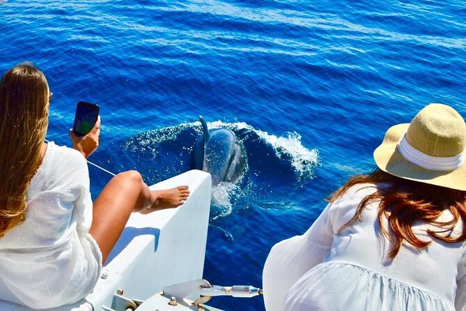 Snorkeling Catamaran Tour at Santa Maria Bay - Itinerary Highlights